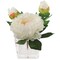 2-Pack Cream Peony Arrangement - Elegant Glass Vase, Home & Office Décor, Perfect for Centerpieces, Weddings, Events - Year-Round Floral Accent, Floral Home by Artificial Flowers